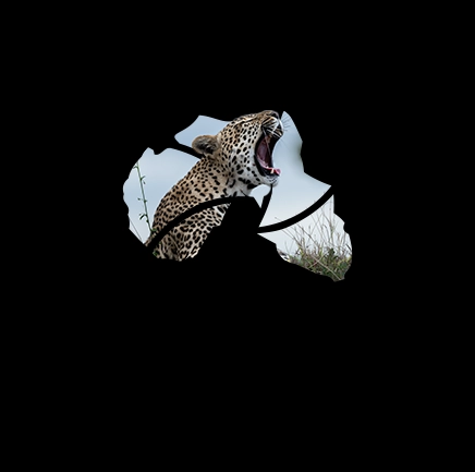 Wild Africa